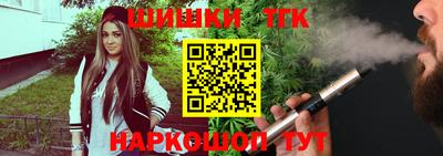 индика Беслан