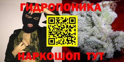 индика Беслан