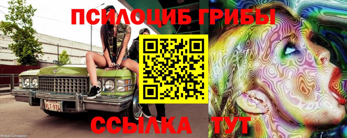 Заводоуковск  Галлюциногенные грибы Magic Shrooms  купить закладку  Вход с VPN 