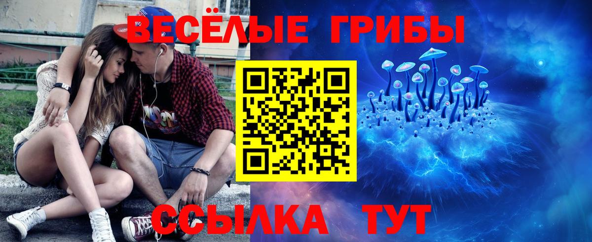 Псилоцибиновые грибы Magic Shrooms Заводоуковск